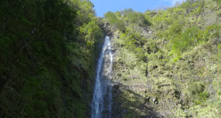 mini-hawaii-trails
